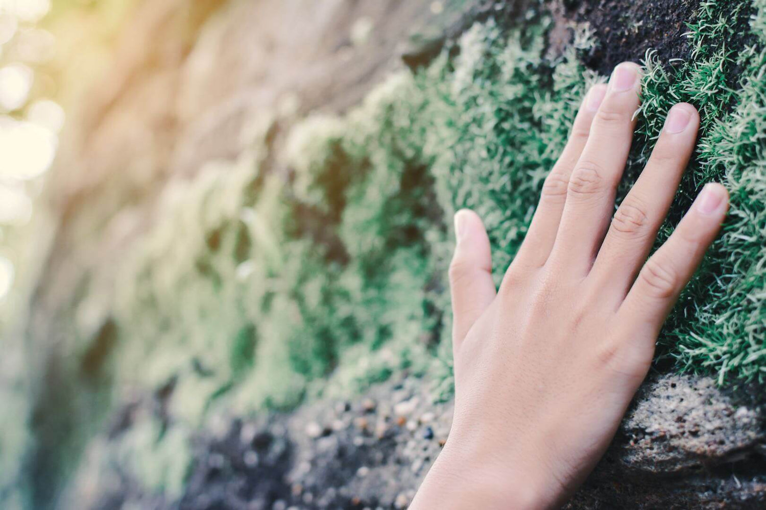 Human hand touching rock for grounding