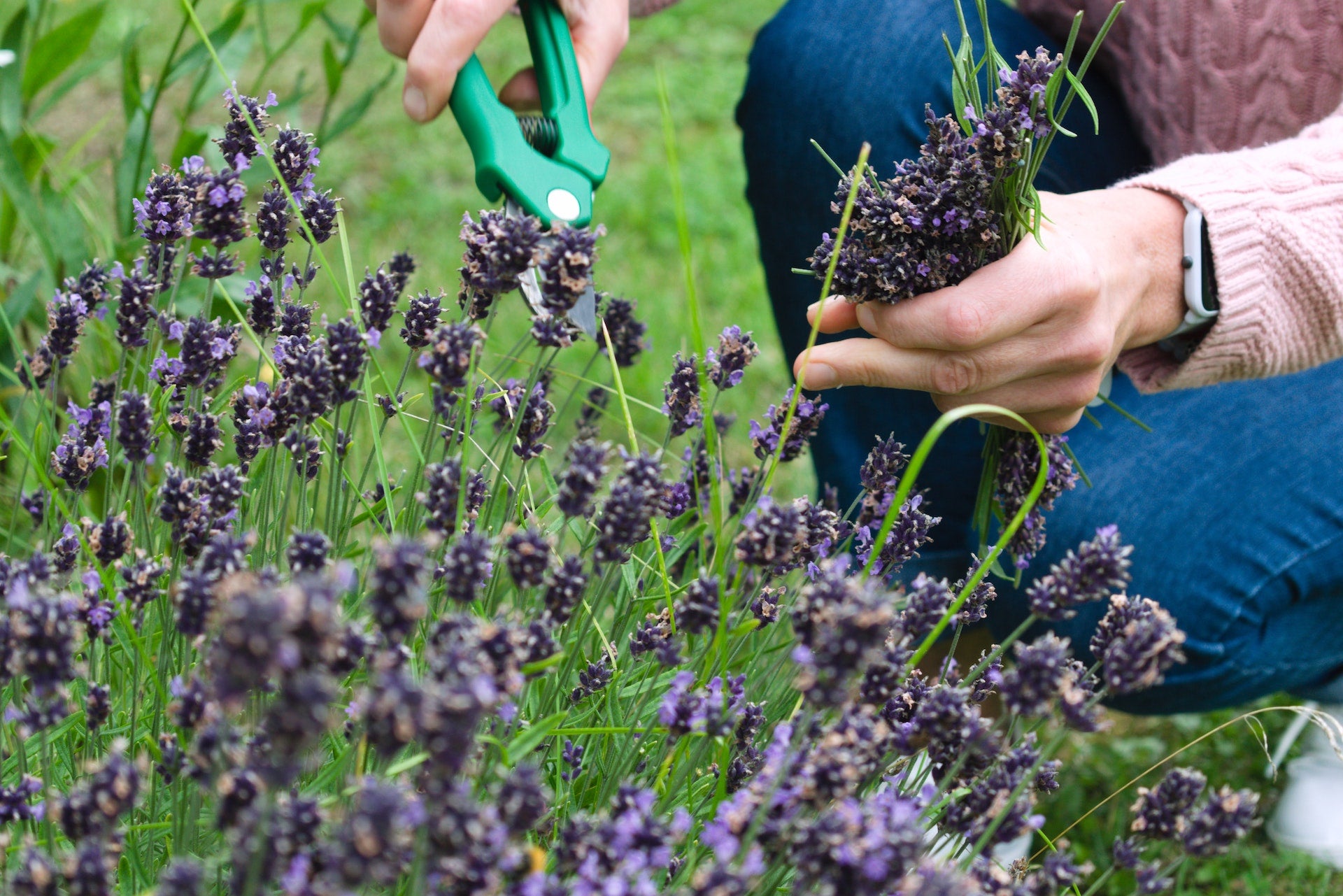 Embrace the Mental Benefits of Gardening and Earthing