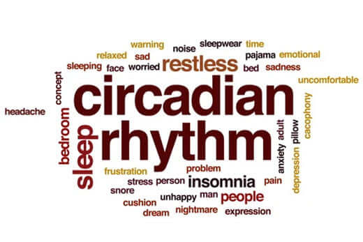 Growing Awareness on Grounding: From Netflix to Biohackers