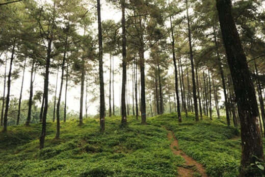 What is Grounding? Why Is It Important for My Health?