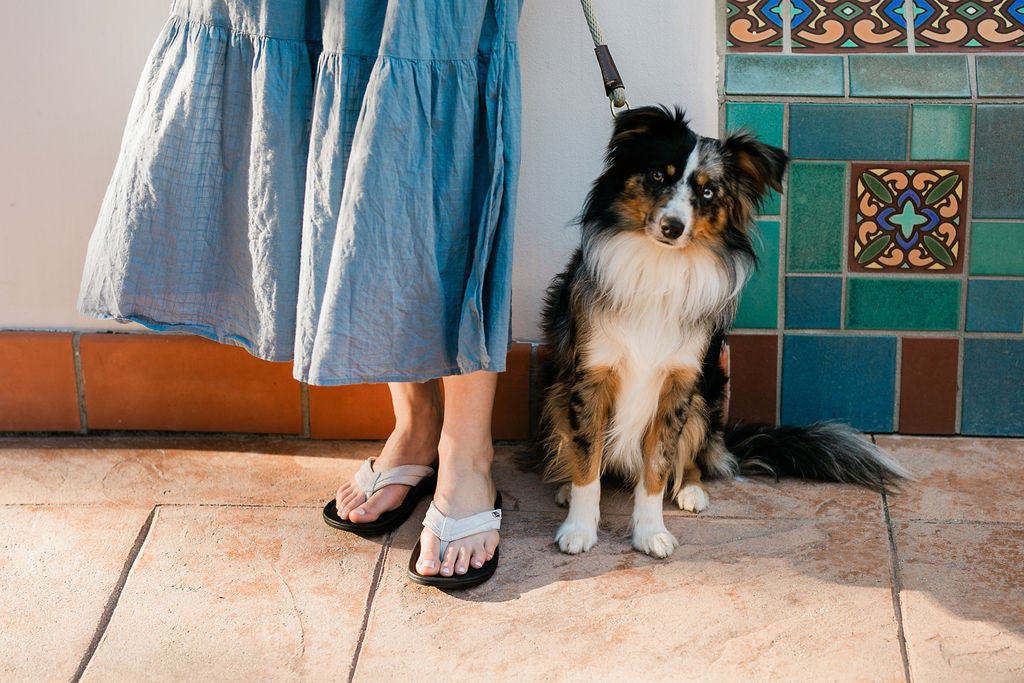 Close up of woman in Dress standing on Brick with dog wearing Harmony 783 Stella Womens Grounding Conductive Earthing Sandal in Silver Shimmer Suede Flip Flop
Lifestyle 2