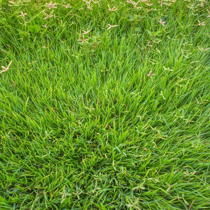 What is Grounding and What Does Being Grounded Mean?